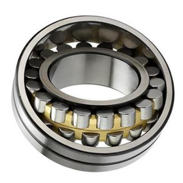 16mm Width Pressed Steel Cage Standard Capacity 11000rpm Maximum Rotational Speed Metric Straight NSK N206W Cylindrical Roller Bearing Normal Clearance 30mm Bore 62mm OD Removable Outer Ring 23500N Dynamic Load Capac 21500N Static Load Capacity