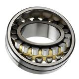 Cylindrical Roller Bearings N236